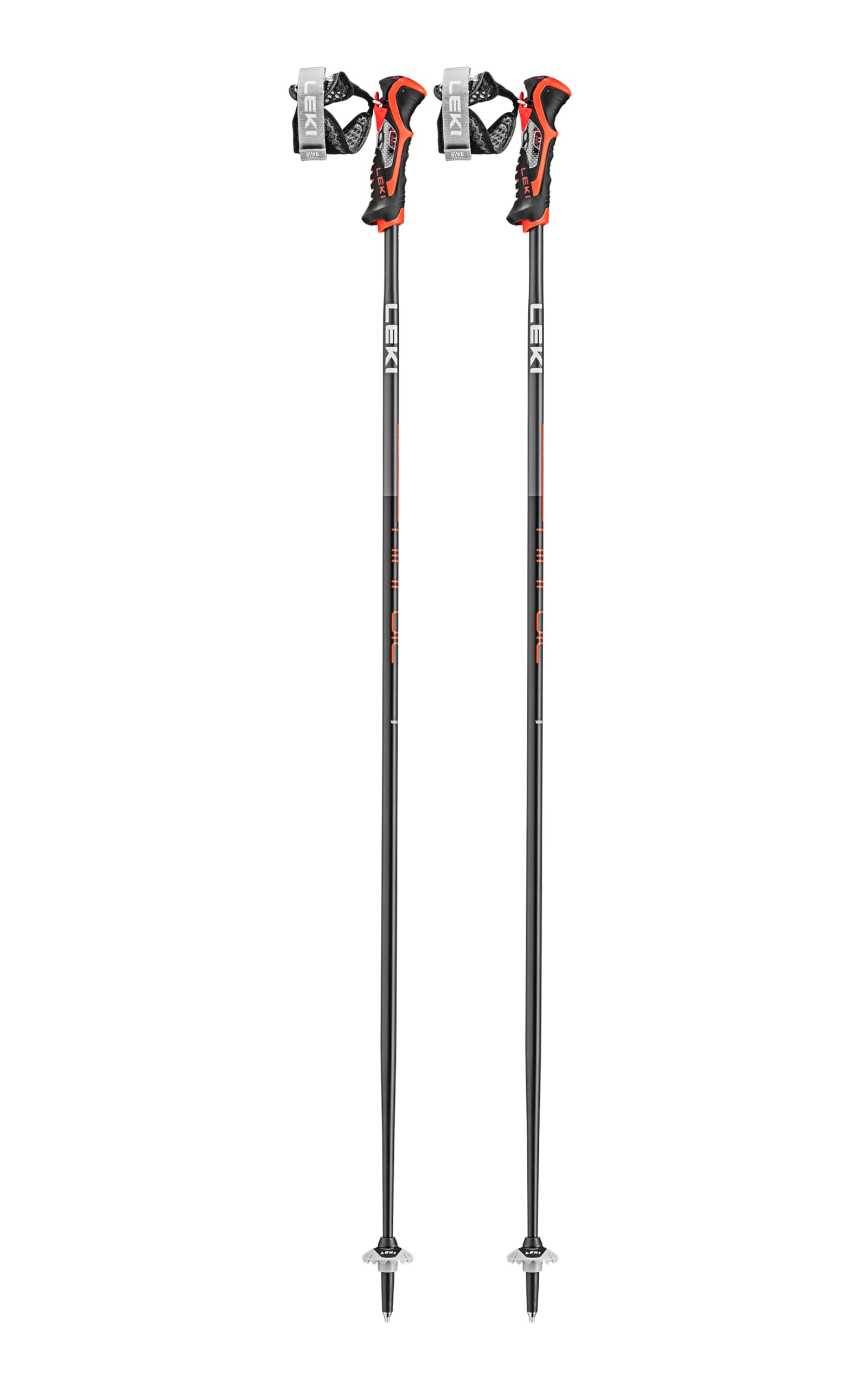 Alpine Skiing